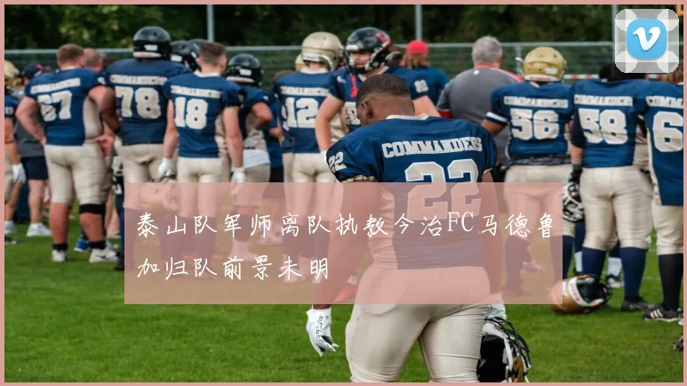 泰山队军师离队执教今治FC马德鲁加归队前景未明